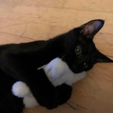 黑黑