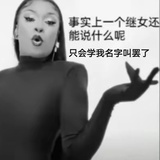 有劳犬子费心了