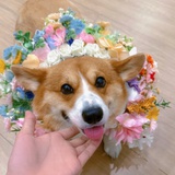 top张啵啵
