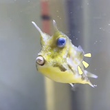 随心飞