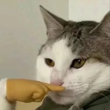 云帆