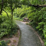 碎水明夜