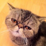 猴纸先森