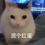 不管喜和悲