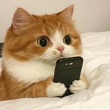 甜牛奶