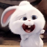 🐰