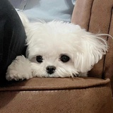 都听我说