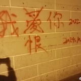 入不忘本枉为入