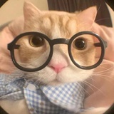 周一见