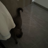 感觉你有点可爱