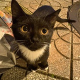 ᴺᵒ`ᴍᴏᴏ៷_^ⁿᵒ_ₘₒₒ