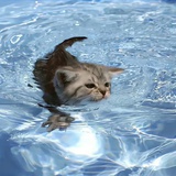 洒洒水💦