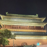 salut钢蛋