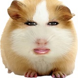 金俊勉