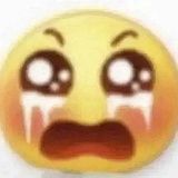 叫我mo酱