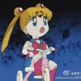 实验室的向日葵