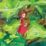 蜜豆蜂儿