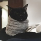 羊3羊