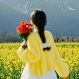 🌼🌼🌼