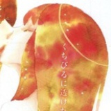 阿尔忒弥斯的猫