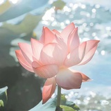 永恒