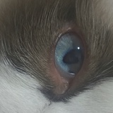 起不来又睡不醒