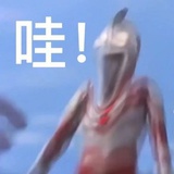 快看我(#‵′)