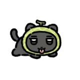 小熊座α星_1111