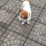 半岛铁盒