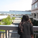 春困之后是夏困