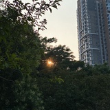 晚舟