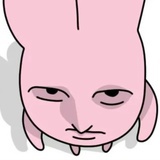 狒狒比猴子高这么多，猴子未来四瓜一的希望不大了