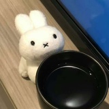 一葉舟Stefanie
