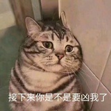 你不知道我是谁