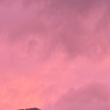 土佐之龙