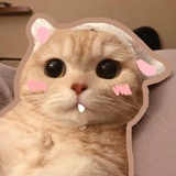 L_呵呵