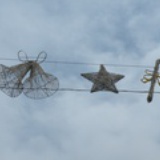 星星的初夏