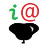 九哥(老黄豆)