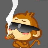 木点儿
