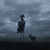 髙三喵