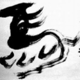 小马儿