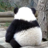 不胖不忧郁