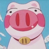 红烧排骨