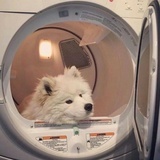 缺氧