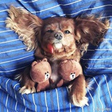 抹茶拿铁不加冰