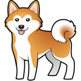 啊郭