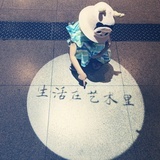疯狂的低调