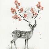 bambi