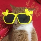 小萝卜