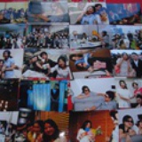 樱花与枫叶的美